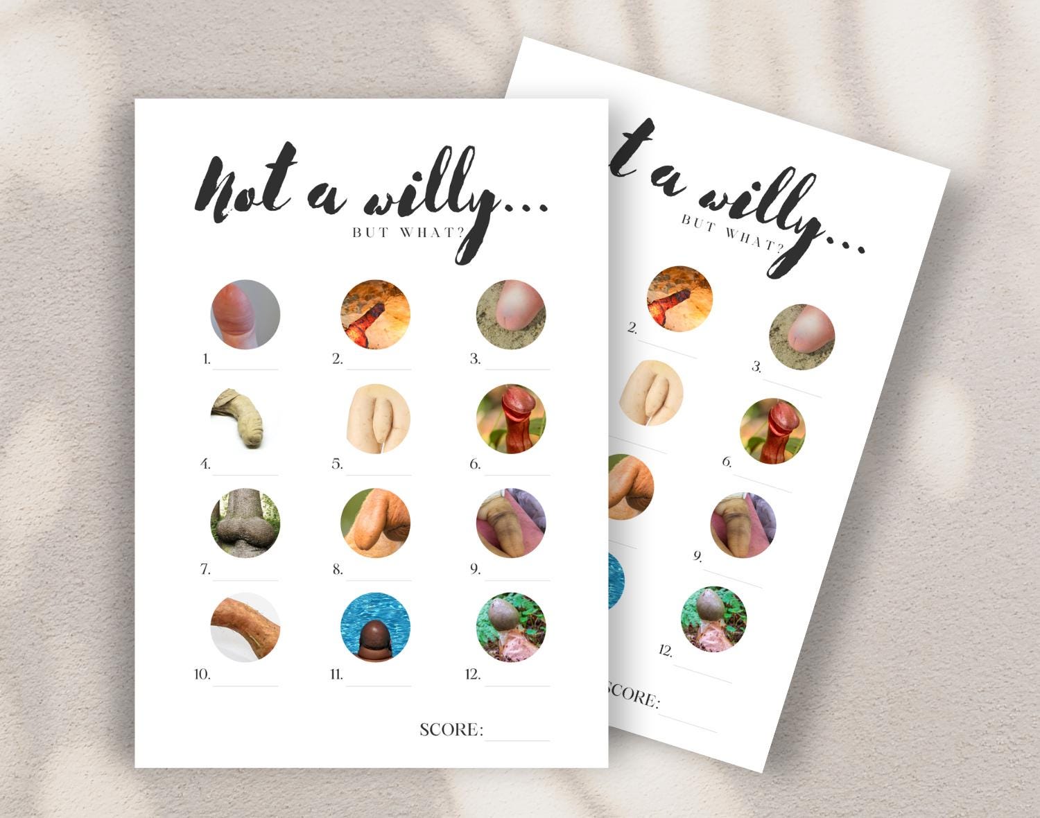 Two 'Willy or what'-style hen party game cards on a beige background. 