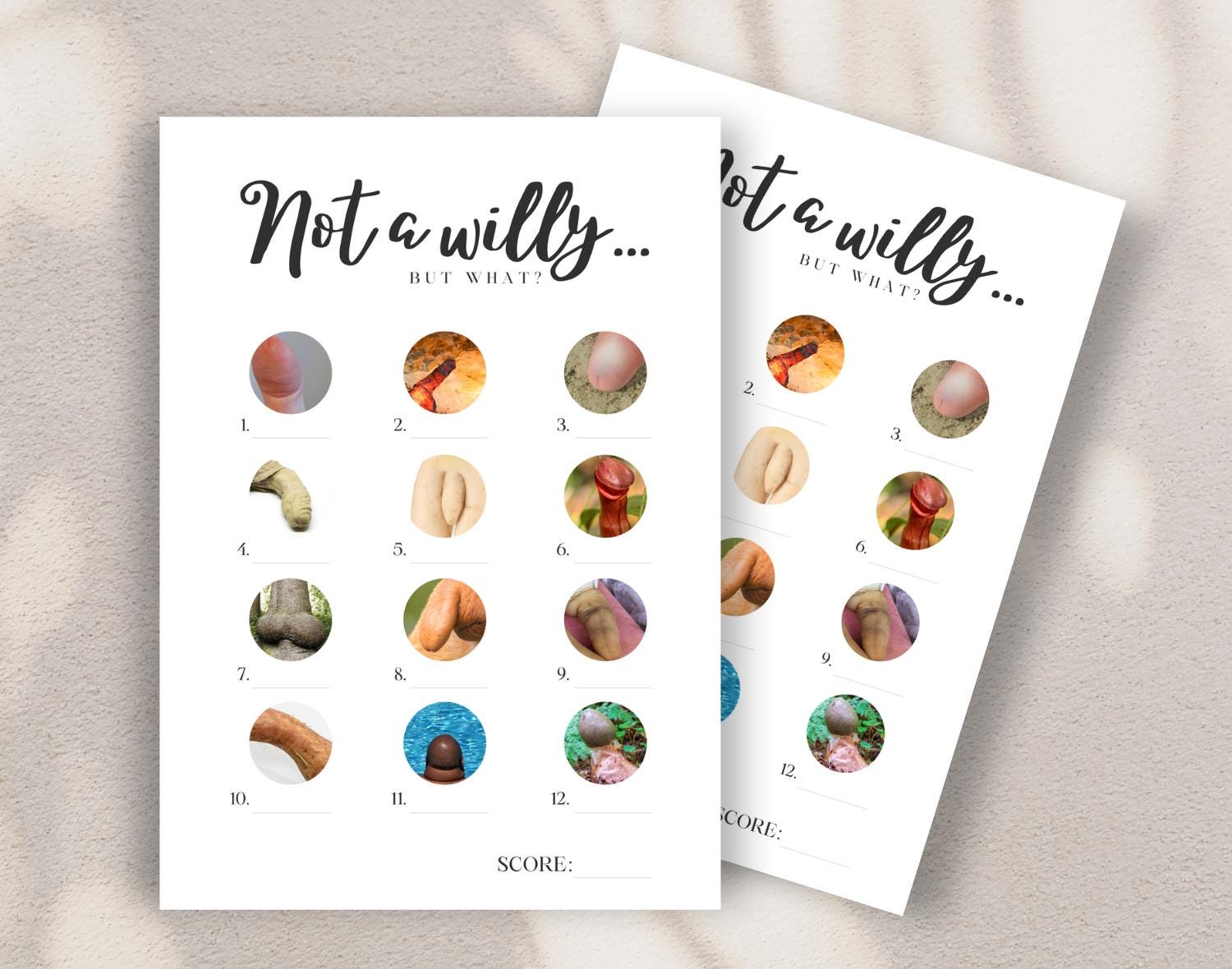 Two  'Willy or what'-style hen do games against a white background for a Bachelorette party or Hen night. 